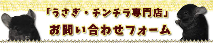「うさぎ・チンチラ専門店」お問い合わせフォーム