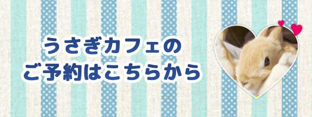 ふれあいひろばのお問い 合わせはこちら